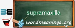 WordMeaning blackboard for supramaxilla